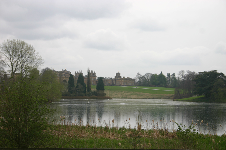 Blenheim grounds - ©William Mackesy Blenheim Park: Blenheim grounds - ©William Mackesy