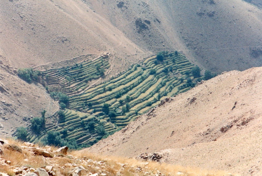 Morocco High Atlas, Jebel Toubkal Circuit, Berber terraces high on dry slopes, Walkopedia