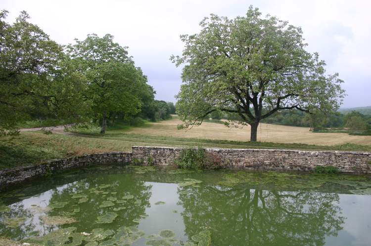 France, Conques to Cahors, Pond by pilgrims' spring, Walkopedia