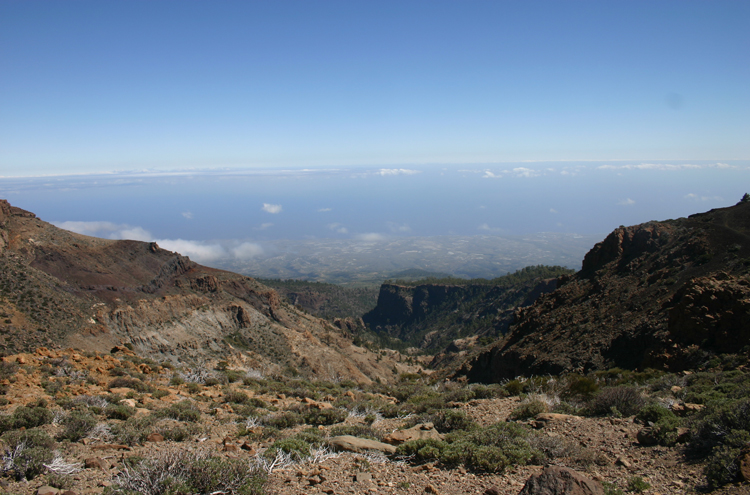 Barranco From the high ridge - ©William Mackesy Tenerife: Barranco From the high ridge - ©William Mackesy