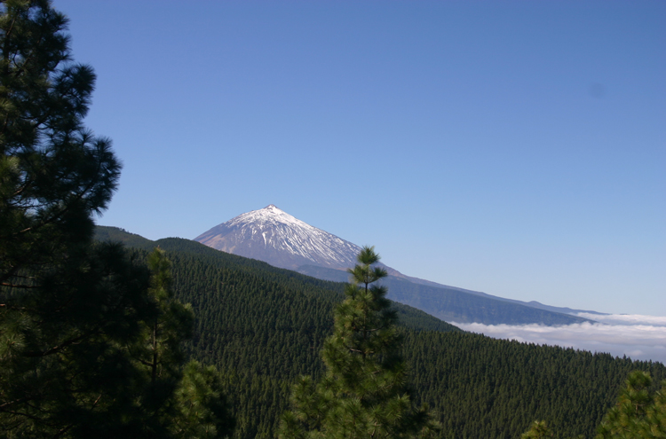 Spain Canary Islands: Tenerife, Tenerife, El Tiede From the island's spine, Walkopedia