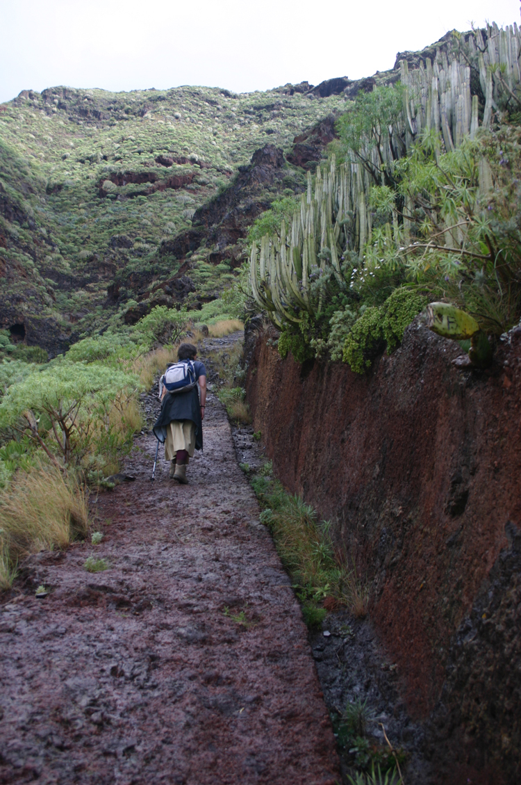 Spain Canary Islands: Tenerife, Anaga Peninsula, , Walkopedia