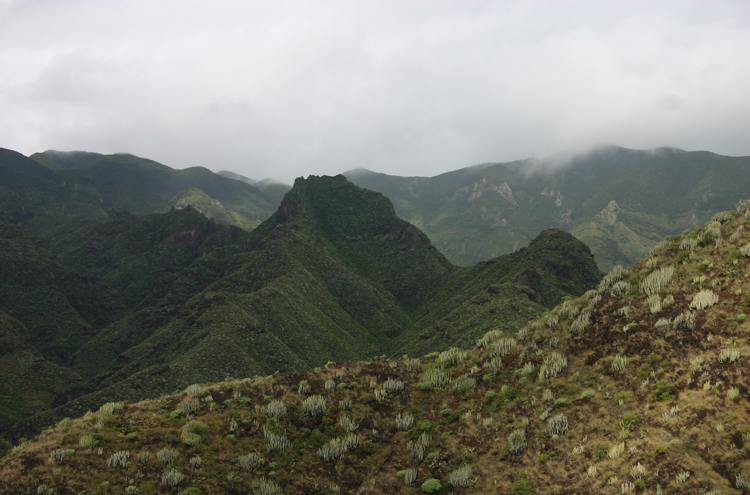 © William Mackesy Anaga Peninsula: © William Mackesy