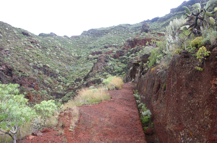 Spain Canary Islands: Tenerife, Anaga Peninsula, , Walkopedia