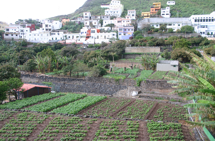 Spain Canary Islands: Tenerife, Anaga Peninsula, , Walkopedia