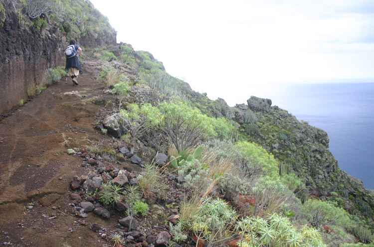 Spain Canary Islands: Tenerife, Anaga Peninsula, , Walkopedia