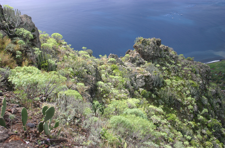 Spain Canary Islands: Tenerife, Anaga Peninsula, , Walkopedia