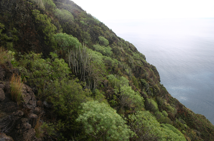 Spain Canary Islands: Tenerife, Anaga Peninsula, , Walkopedia