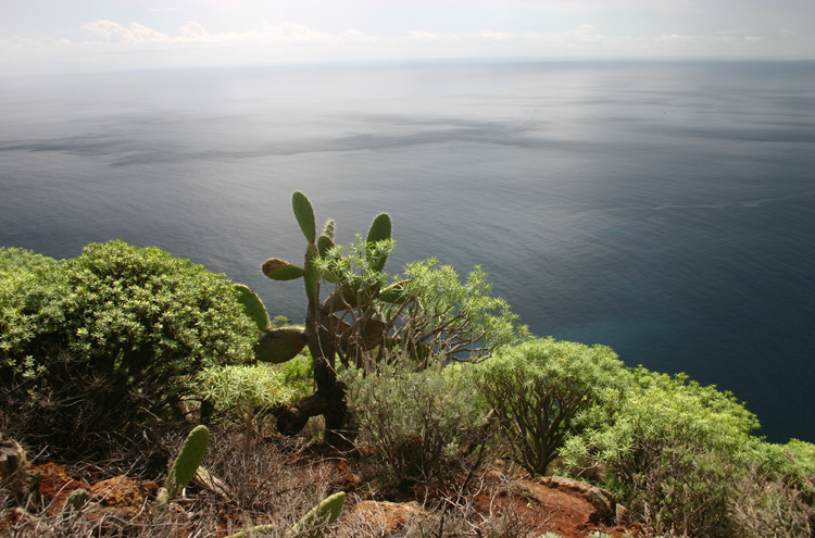 Spain Canary Islands: Tenerife, Anaga Peninsula, , Walkopedia