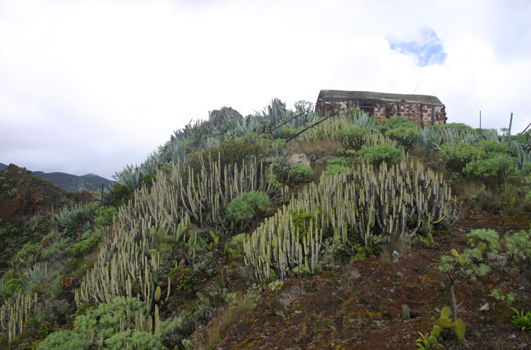 Spain Canary Islands: Tenerife, Anaga Peninsula, , Walkopedia