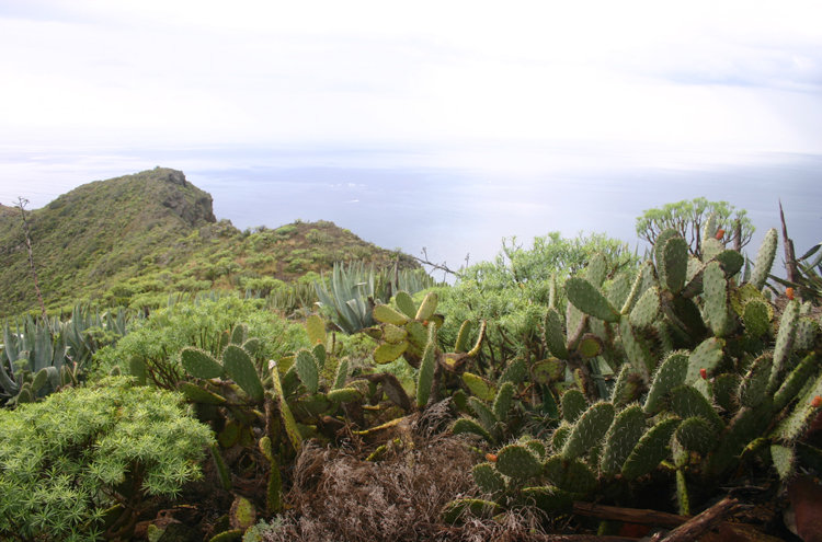 Spain Canary Islands: Tenerife, Anaga Peninsula, , Walkopedia