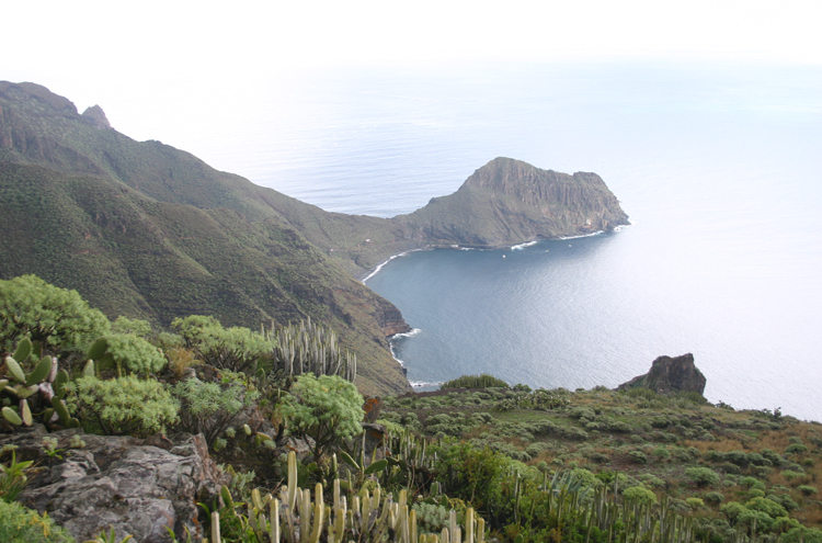 Spain Canary Islands: Tenerife, Anaga Peninsula, , Walkopedia