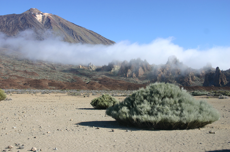 El Tiede and Roques de Garcia - © William Mackesy Las Canadas and El Tiede: El Tiede and Roques de Garcia - © William Mackesy