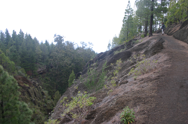 Spain Canary Islands: Tenerife, El Portillo down into La Orotava, , Walkopedia