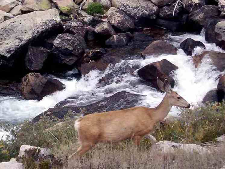 USA California, John Muir Trail, John Muir Trail, Walkopedia