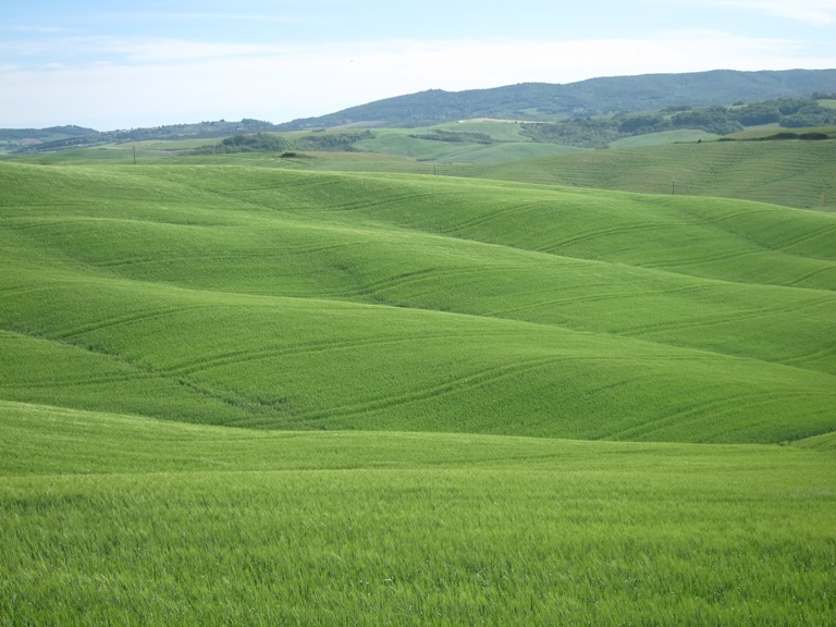 Italy, Via Francigena, Tuscany -  Folds of land , Walkopedia