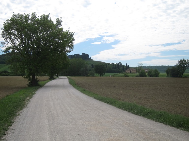 Italy, Via Francigena, Tuscany -  Strada sometime too bianca , Walkopedia