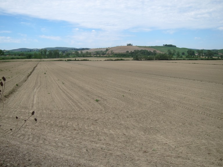 Italy, Via Francigena, Tuscany -  Brown bit , Walkopedia