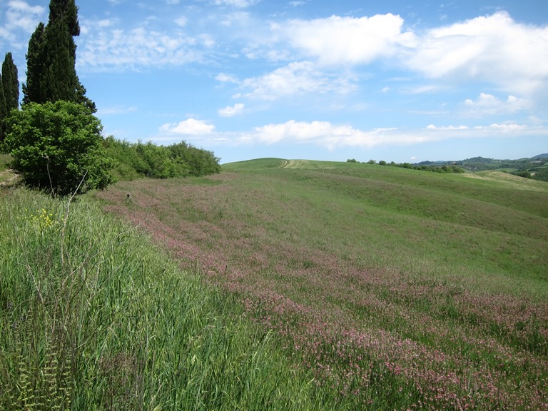 Italy, Via Francigena, Tuscany - Coming off high ridge , Walkopedia