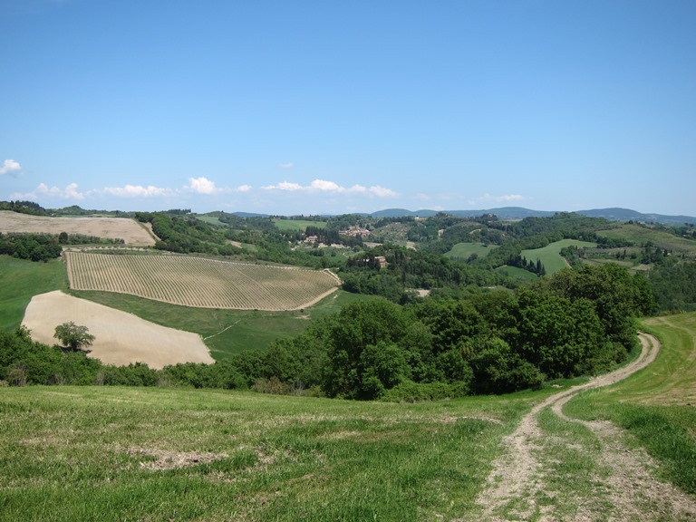 Italy, Via Francigena, Tuscan scene , Walkopedia