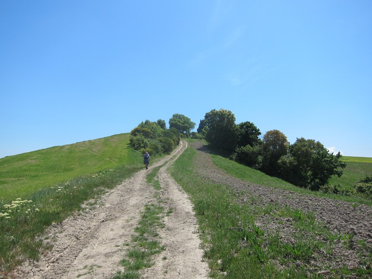 Italy, Via Francigena, Tuscany -   Up the ridge , Walkopedia