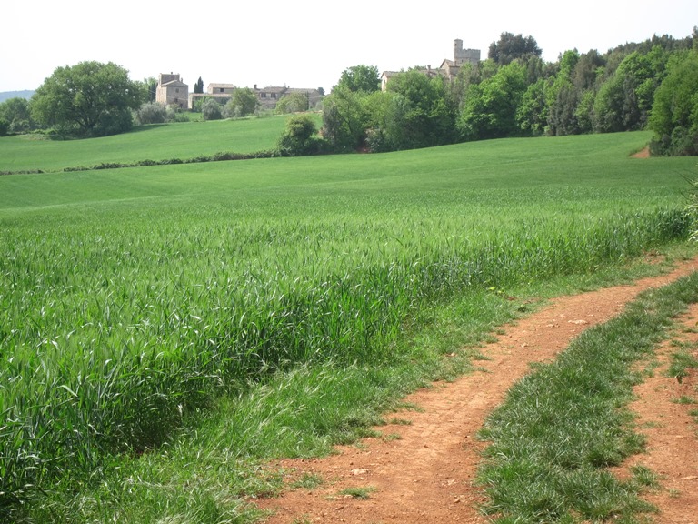 Italy, Via Francigena, Tuscany - Castle and village, Walkopedia