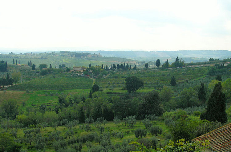 Italy, Via Francigena, Tuscany, Walkopedia