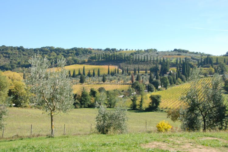 Italy, Via Francigena, Via Francigena - Outside Montulcino, Walkopedia