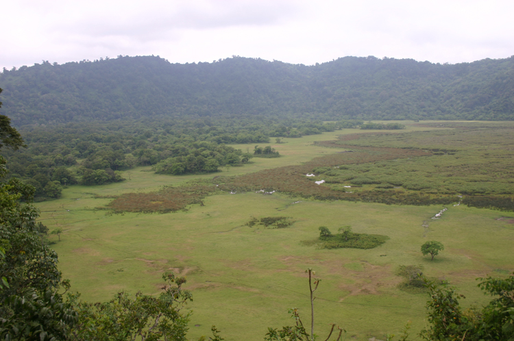 Ngurdoto Crater
© William Mackesy