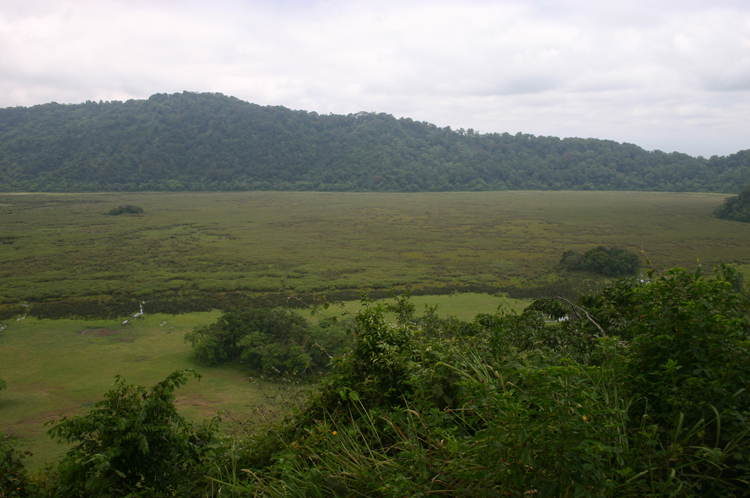 © William Mackesy Ngurdoto Crater: © William Mackesy