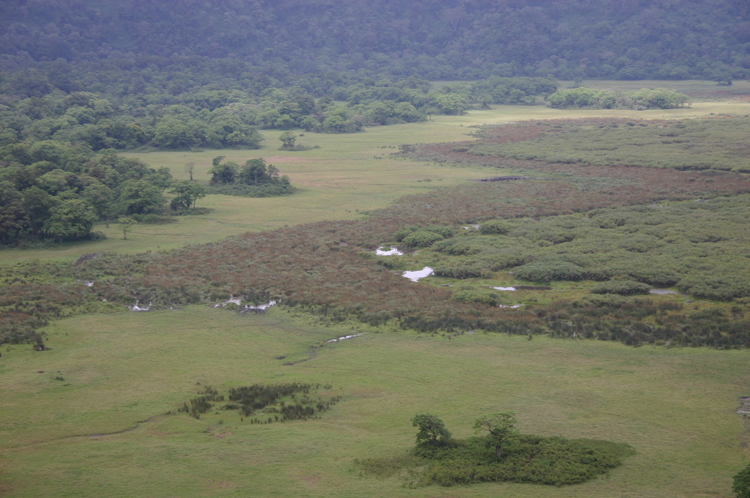 Tanzania, Ngurdoto Crater, , Walkopedia