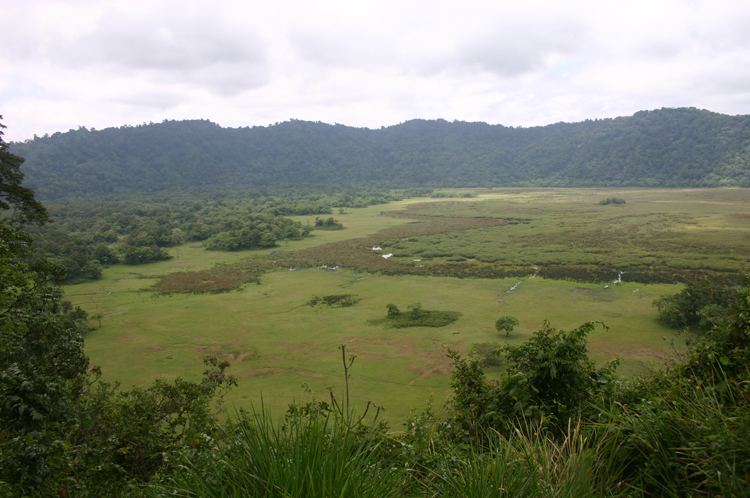 Tanzania, Ngurdoto Crater, , Walkopedia