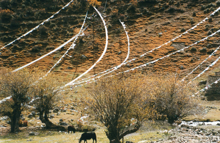 China Tibet, Tsurphu Kora, Prayer flags across the road, Walkopedia