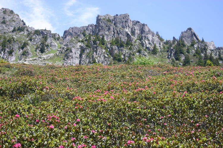 France Alps Aiguilles Rouges, Lac Blanc and Southern Aiguilles Rouges Traverses, Aiguilles Rouges, Walkopedia