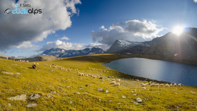 Italy Alps: Gran Paradiso, Punta Basei, , Walkopedia