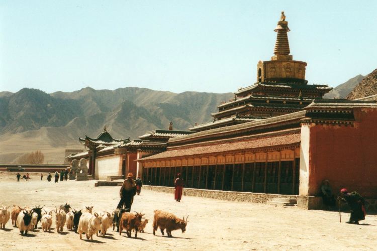 Tibet's Monastery Koras: Labrang - © William Mackesy