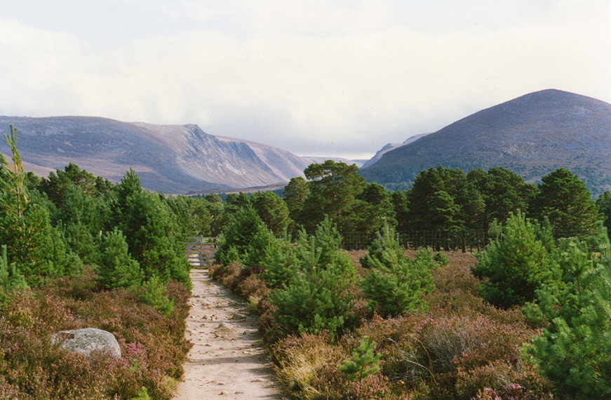 United Kingdom Scotland Cairngorms, Lairig Ghru, The Lairig Ghru path near Tullochgrue , Walkopedia