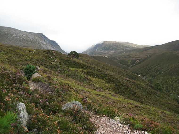 United Kingdom Scotland Cairngorms, Lairig Ghru, Towards the Lairig Ghru , Walkopedia