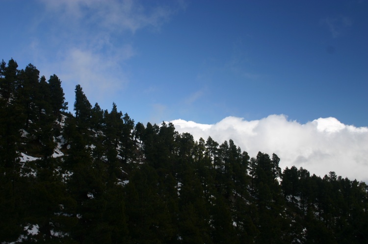 Great Volcanic Ridge - Caldeira de Taburiente - © Copyright William Mackesy Great Volcanic Ridge: Great Volcanic Ridge - Caldeira de Taburiente - © Copyright William Mackesy