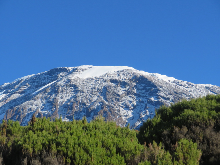 Tanzania Mount Kilimanjaro, Trekking Kilimanjaro , Kibo from Millennium camp, Walkopedia