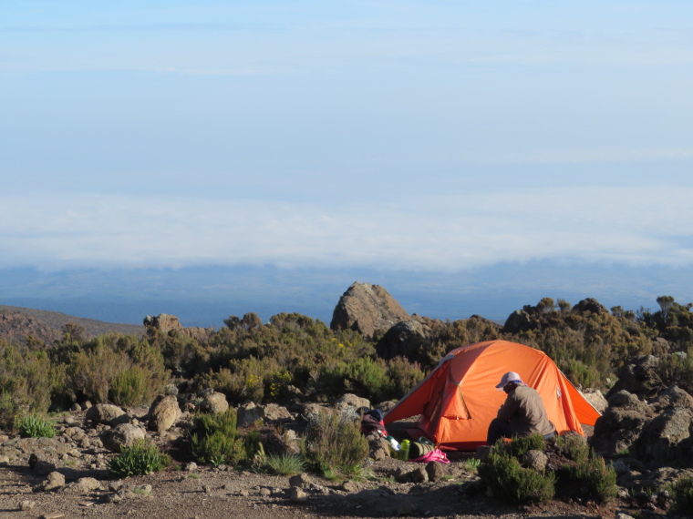 Tanzania Mount Kilimanjaro, Trekking Kilimanjaro , Buffalo camp, Walkopedia