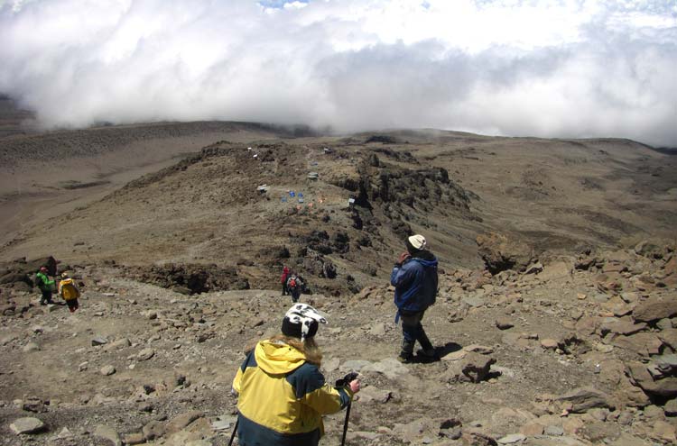 Tanzania Mount Kilimanjaro, Trekking Kilimanjaro , , Walkopedia