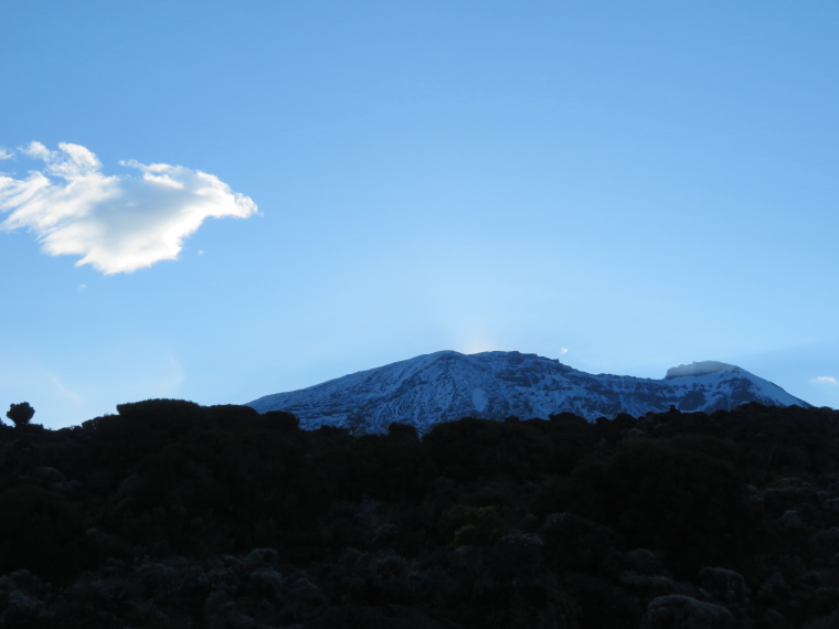 Tanzania Mount Kilimanjaro, Trekking Kilimanjaro , From Shira 2 camp, early, Walkopedia