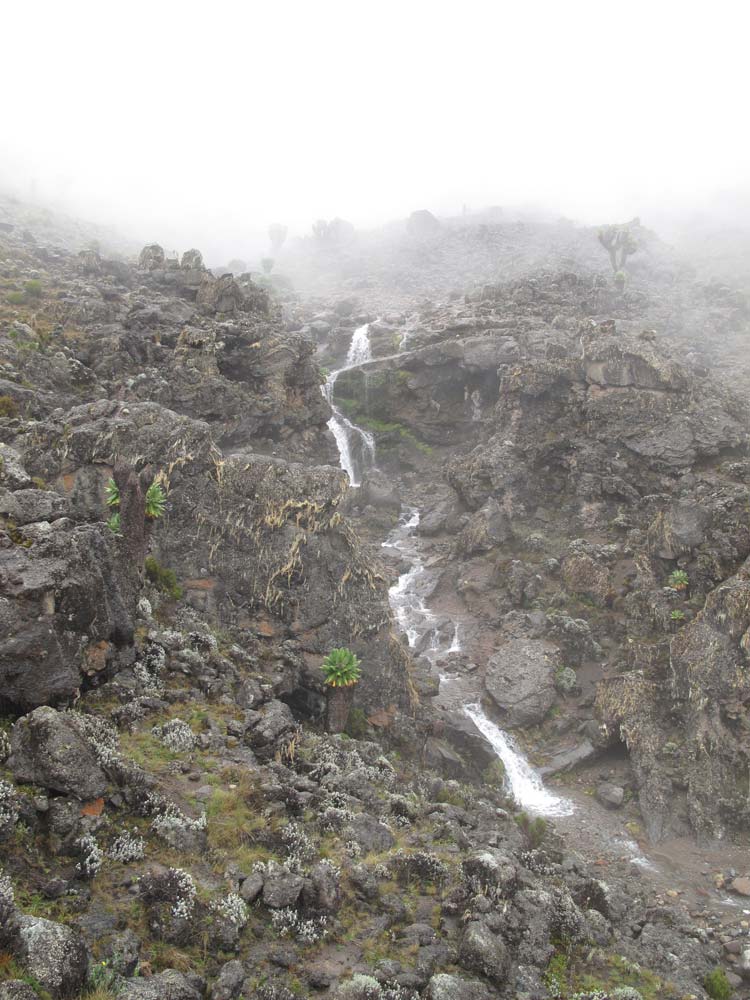 Tanzania Mount Kilimanjaro, Trekking Kilimanjaro , , Walkopedia