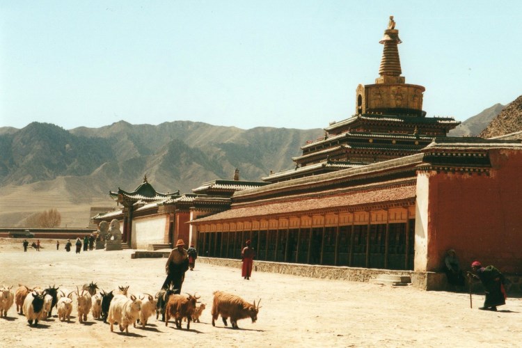 China North-west Gansu, Labrang Kora (Xiahe), Labrang Kora, Walkopedia