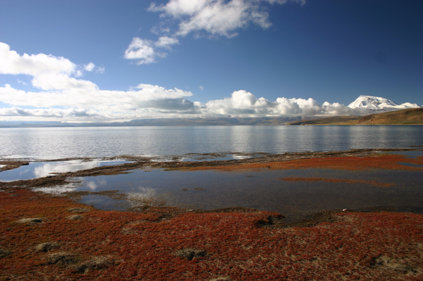 China Tibet, Lake Manasarovar, , Walkopedia