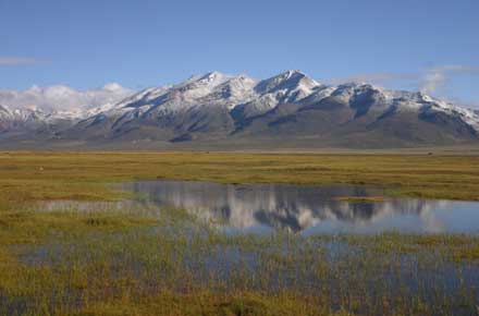 Lake Mansarovar - - © William Mackesy Lake Mansarovar - - © William Mackesy