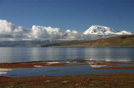 Lake Manasarovar
Lake Mansarovar - © William Mackesy Lake Manasarovar
Lake Mansarovar - © William Mackesy