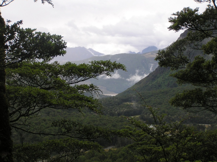 New Zealand South Island, Routeburn, Routeburn Track, Walkopedia