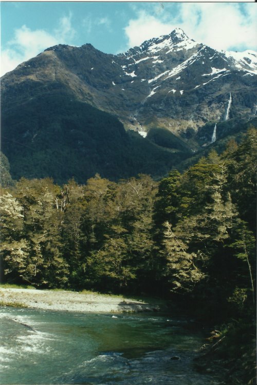 New Zealand South Island, Routeburn, Routeburn - early day 1, Walkopedia